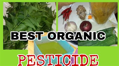 Best Organic Pesticide Complete Guide Step by Step Tutorial - YouTube