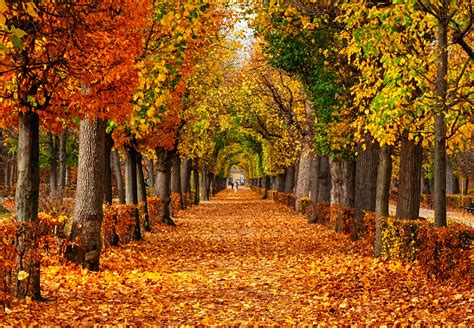 Autumn Zoom Wallpapers - Wallpaper Cave