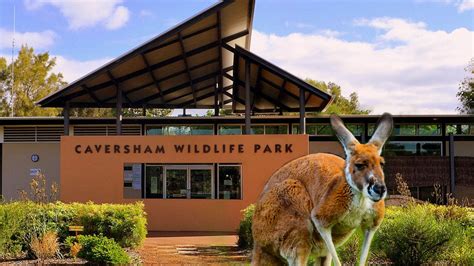 Caversham Wildlife Park & Fruit Farm Experience – Makan Angin Tours