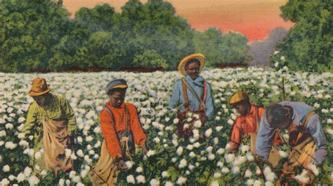 Historical postcard depicting cotton picking in the early 1900s