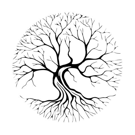 Oak Tree Design, Oak Drawing, Tree Drawing, Oak Sketch PNG and Vector ...