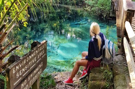 Explore Florida Springs: Fern Hammock Springs at Juniper Springs ...