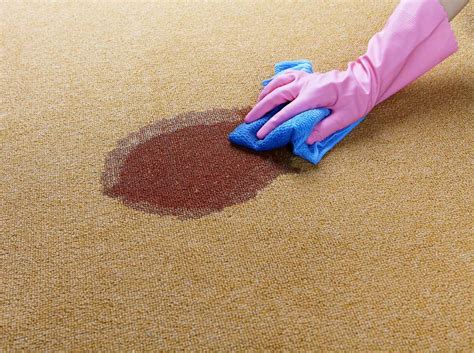 Remove Vomit Stains and Odors on Carpet: 4 Easy Steps