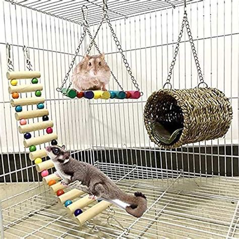 Amazon.com: hamster toys for real hamsters