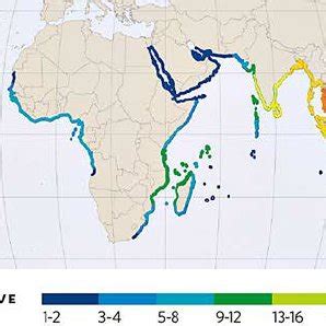 1. World map of the mangrove distribution zones and the number of ...