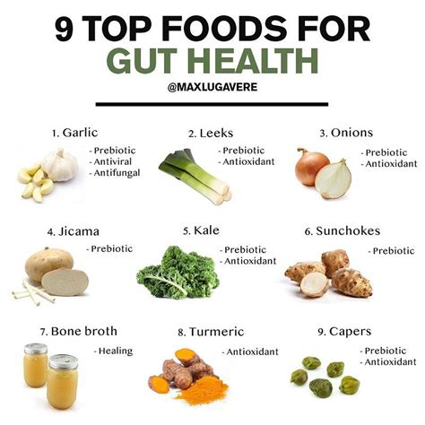 The Gut and its Importance for Health! – Let's Talk Health with Mairi