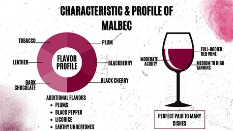 Malbec Food Pairing: An Expert's Guide | Wine Club