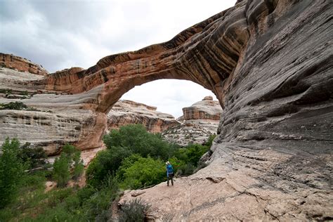 Natural Bridges National Monument | Things to Do | Bluff Dwellings