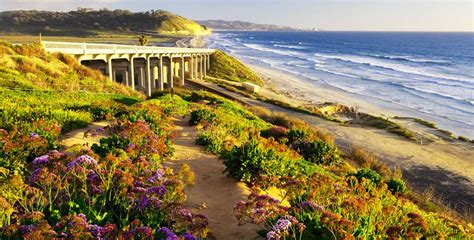 23 Best San Diego Beaches (By a Local)