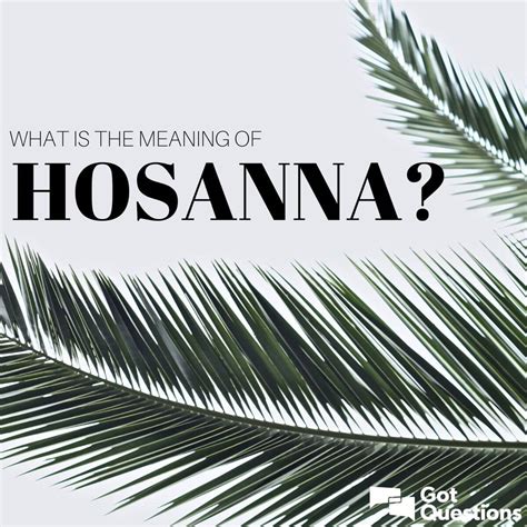 What is the meaning of hosanna? | GotQuestions.org