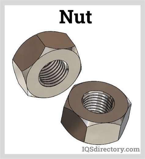 Types of Bolts: Types, Components, and Fastener Terms