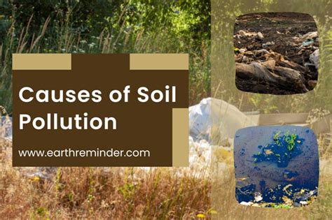 Soil Pollution: Causes, Effects, And Prevention Earth, 58% OFF