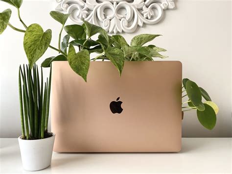 Top 10 Plants For Your Home Office. (That clean the air and are hard to ...