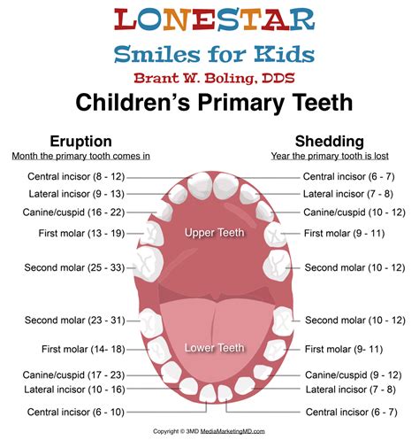 Five Stages of Teething - Lonestar Smiles for Kids