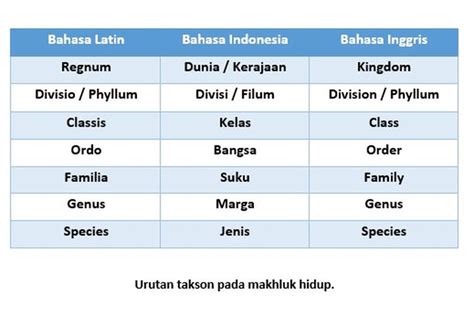 Contoh Tabel Klasifikasi Statistika Adalah Ilmu Administrasi - IMAGESEE