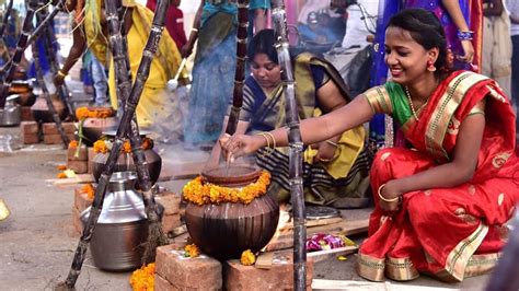 Pongal celebrated in Tamil Nadu, Puducherry; Jallikattu peps up festive ...