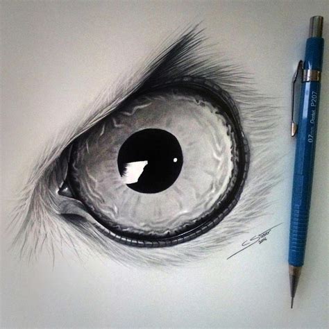 Owl Eye Drawing by LethalChris on DeviantArt