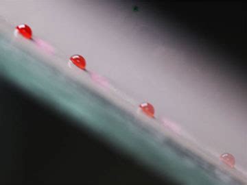 Optics & Photonics News - Slippery Surface for Photocontrol of Droplets