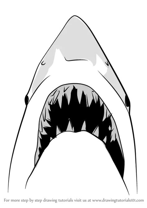 How to Draw Jaws Shark (Other Animals) Step by Step ...