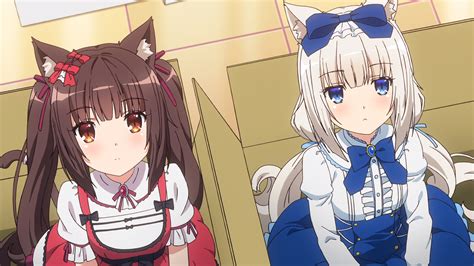 Nekopara OVA Media Review | Anime Solution