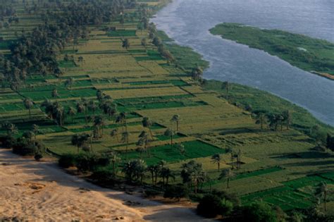 Egypt's Nile Delta threatened by looming crisis of water and food ...