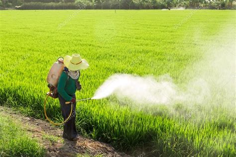 What Chemicals Do Farmers Spray On Crops - Farmer Foto Collections