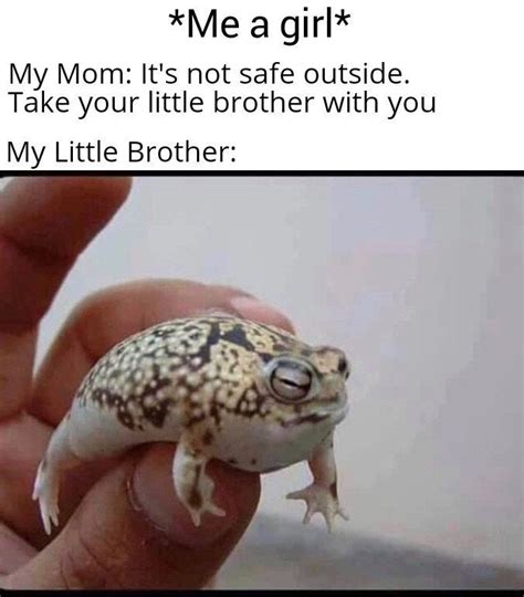 Little brother >> BIG BROTHER : r/memes