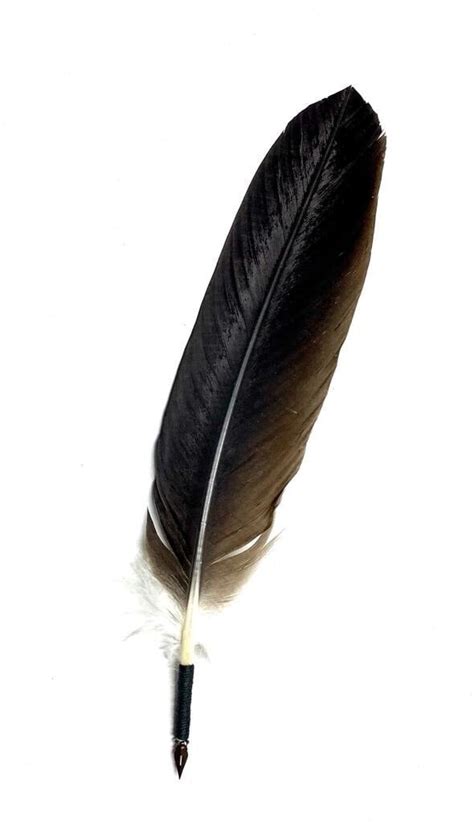 Genuine Feather for Rituals 40cm - Etsy