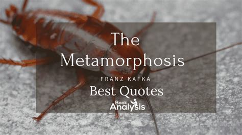 5 Important Quotes in The Metamorphosis | Book Analysis