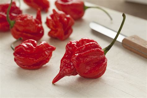 Scorpion Pepper: Guide To One Of The World's Hottest Peppers