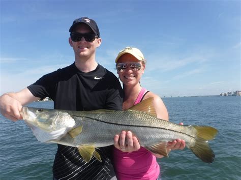 Siesta Key Beach fishing Charters – Siesta Key Fishing Charters