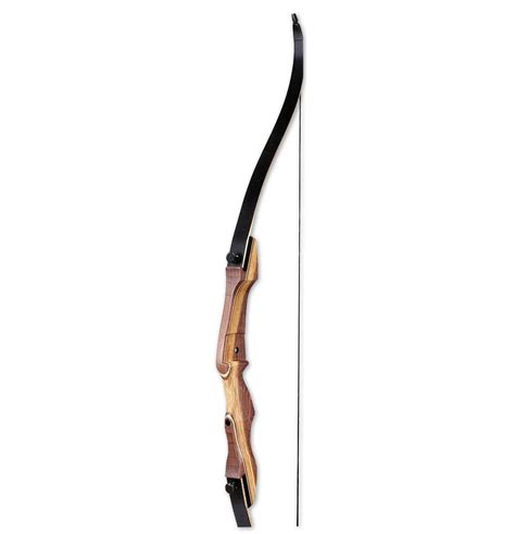 2016 Top 12 Best Hunting Bow Reviews – All Outdoors