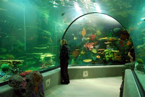 Virginia Aquarium Restless Planet - Architizer