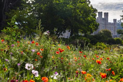 Garden Discovery - Leeds Castle