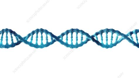 DNA molecule, animation - Stock Video Clip - K010/4270 - Science Photo ...