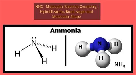 NH3 Molecular Geometry, Hybridization, Bond Angle and Molecular Shape