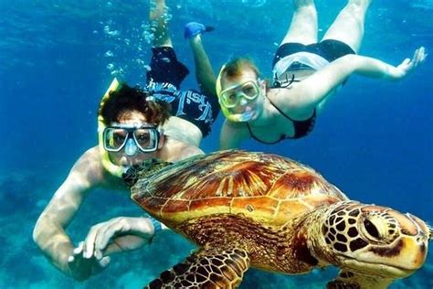 Reserva Marina Tres Palmas Coral Reef Snorkeling Tour 2024 - Rincón