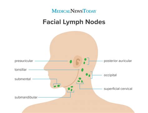 Preauricular lymph nodes: Causes of swelling