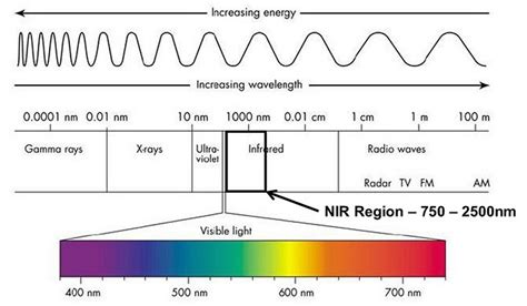 How does Near-infrared spectroscopy work? - NIRLAB