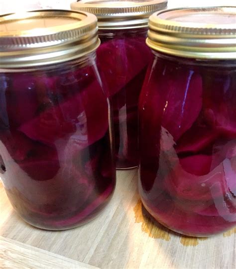 Pickled Beets Recipe - Pattern Princess | Canned pickled beets, Pickled ...