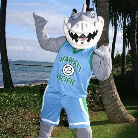 Shark | Mascot Hall of Fame