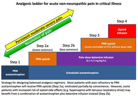 PulmCrit- Reengineering the analgesic ladder for critically ill patients