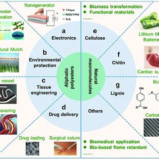 Applications of biodegradable materials. Snapshot of the main fields of ...