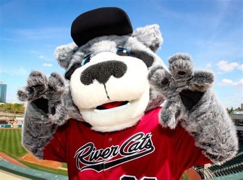 Dinger, Sacramento River Cats mascot; AAA Pacific Coast League. | MiLB ...