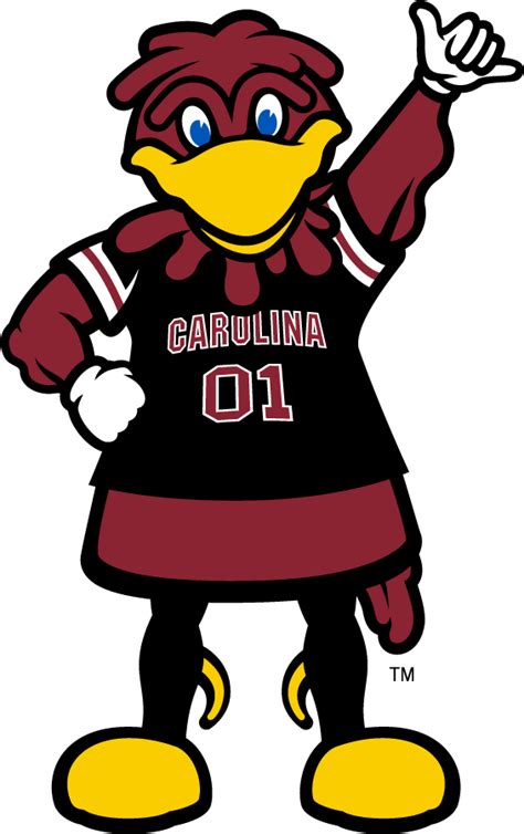 South Carolina Gamecocks Logo - Mascot Logo - NCAA Division I (s-t ...