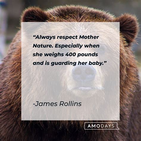 70 Bear Quotes: A Tribute to These Majestic Creatures