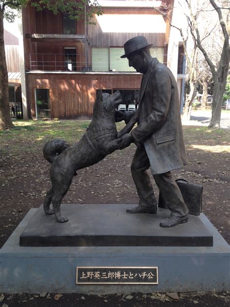 Hachikō The Faithful Dog - a National Symbol | Australian Dog Lover