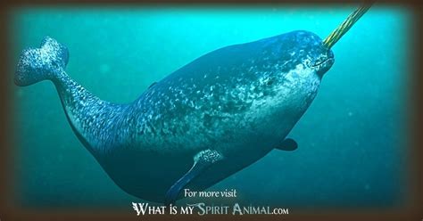 Narwhal Symbolism & Meaning | Spirit, Totem, & Power Animal