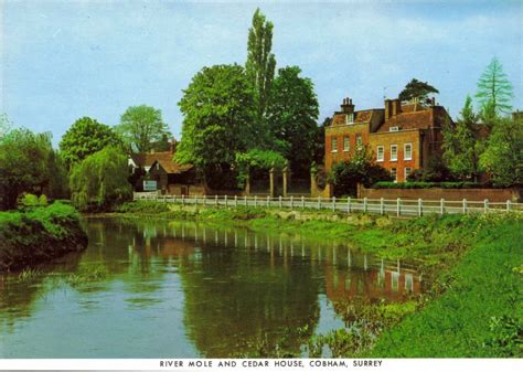 Postcards and Viewcards: Postcard Of River Mole And Cedar House, Cobham ...