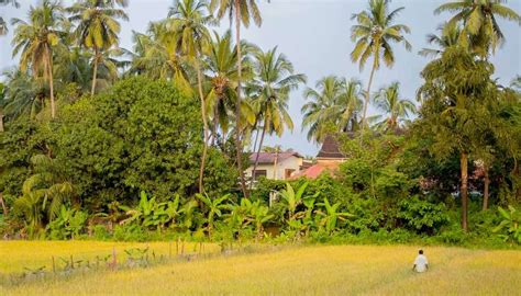 5 Best villages in Goa that will take you back in time